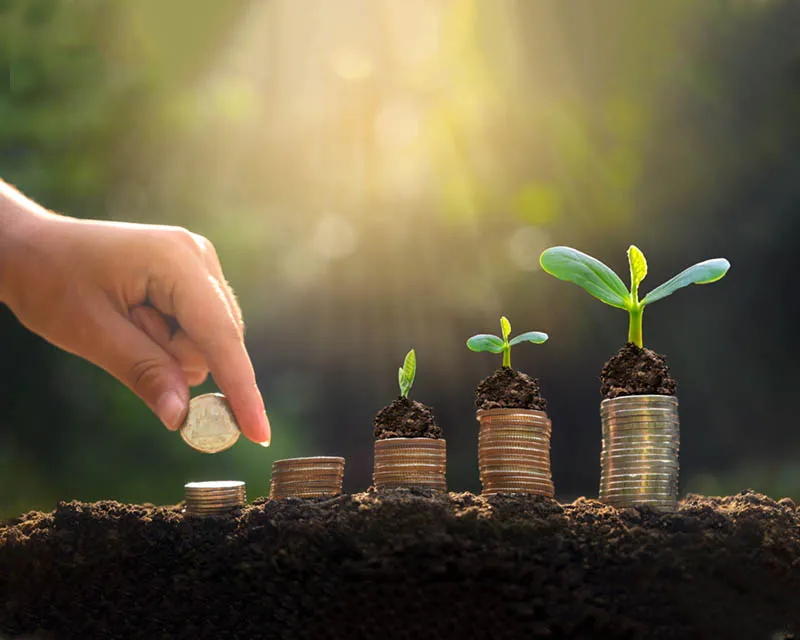 HABITAT ACTION AND PEACE (HAP)